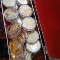 سکه برنز روکش طلا ضرب کانادا ۲۵ عدد
