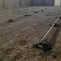 اجرای بتن ریزی ماله پروانه ای وکفسابی انواع سنگها|خدمات پیشه و مهارت|بجنورد, |دیوار