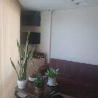 دفتر-کار-اشتراکی-ستارخان