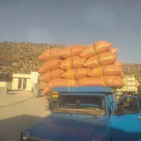 خرید فروش محصولات کشاورزی