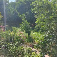 اجاره منزل مسکونی|اجارهٔ خانه و ویلا|جیرفت, |دیوار