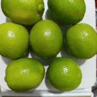 لیمو درجه یک