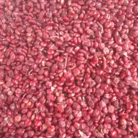 سماق قرمز نکوبیده مان( آسیاب نشده)