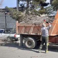 راننده  پایه یک