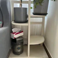 جا گلدان و گل|گل و گیاه طبیعی|پردیس, فاز ۵|دیوار