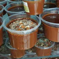 سمنـو سنتـی جـوانه