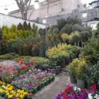 باغبانی ملارد اندیشه محله قجر سرآسیاب قدس
