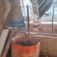 خاک.گوسفند.میخرم