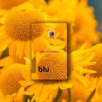 بلو بانک|کارت هدیه و تخفیف|تهران, آرژانتین|دیوار
