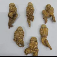 هرجا رفتی نتیجه نگرفتی بیا پیش صاحب کتاب