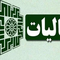 انجام خدمات مالی و مالیاتی توسط مدیر مالی