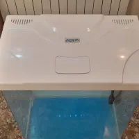 اکواریوم|ماهی|تهران, افسریه شمالی|دیوار