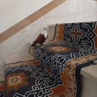 کبوتر کربلایی