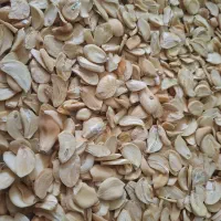 سیر درجه یک اعلا،پودر ،اسلایس،گرانول