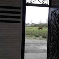 اجاره روزانه ویلا سه خوابه هشت بهشت فومن|اجارهٔ کوتاهمدت ویلا و باغ|فومن, |دیوار