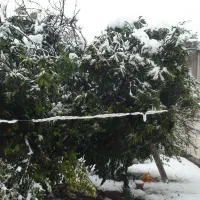 فروش منزل ویلایی