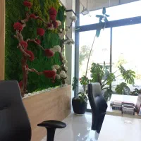 زمین-درب-از-ساختمان-گلستان-شمالی