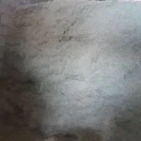 علوفه یا گیاه دام