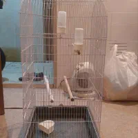 قفس پرنده بزرگ سالم