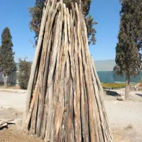 تیرچوبی گلخانه‌ای|مصالح و تجهیزات ساختمان|شهریار, رزکان|دیوار