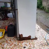 یخچال کاملا سالمه|یخچال و فریزر|ماکلوان, |دیوار