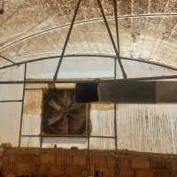 گلخانه|عمده‌فروشی|سبزوار, چهارراه فرودگاه|دیوار