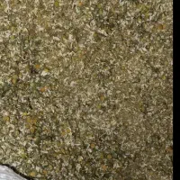 گل بابونه برداشت امسال بسیار تمیز