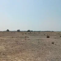 زمین کشاورزی مساحت ۵/۵ هکتار خورموج بحیری نودرار|فروش زمین و ملک کلنگی|خورموج, |دیوار