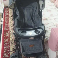 کالسکه دلیجان|کالسکه و لوازم جانبی|مرودشت, ثبت احوال|دیوار