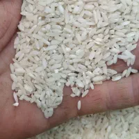 برنج چمپا