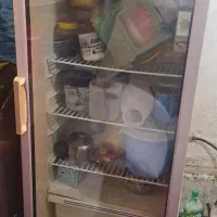 یخچال|یخچال و فریزر|ویلکیج, |دیوار