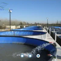 فروش عمده ماهی قزل آلا فرانسوی