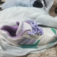 کتونی|کیف، کفش، کمربند|رشت, دیلمان|دیوار