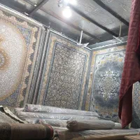فرش افشان ترنج الوان|فرش|نیشابور, کوی فرهنگیان|دیوار