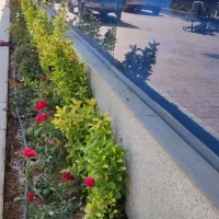 خدمات باغبانی باغچه کاری تعویض گلدان گل‌های زینتی|خدمات باغبانی و درختکاری|تهران, هاشمی|دیوار