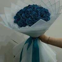 ربانی|پخشکننده همراه|چناران, |دیوار