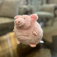 عروسک فانتزی و شخصیت کارتونی