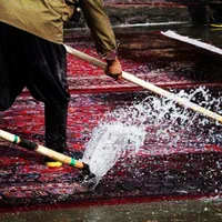 قالیشویی بهار خراسان|خدمات نظافت|گلبهار, شهر جدید گلبهار|دیوار