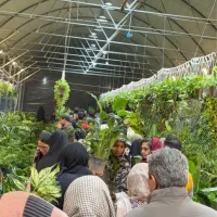 سرایداری گلخانه