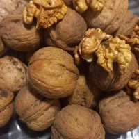 گردوی تویسرکان