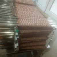 کباب زن هستم|خدمات پذیرایی، مراسم|تبریز, |دیوار