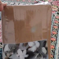 روت|سرویس روتختی|دزفول, |دیوار