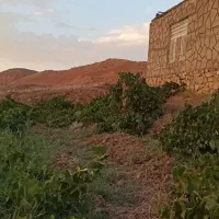 خانه باغ در بین روستای کیذقان و ده زمین (دره دهنه)|فروش خانه و ویلا|ششتمد, |دیوار