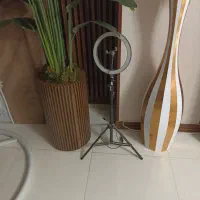رینگ لایت