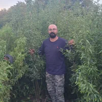 نهال|خدمات باغبانی و درختکاری|رامند, |دیوار