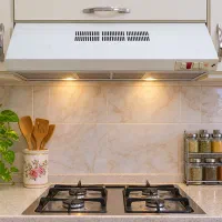 هود زیر کابینتی استیل البرز