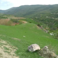 زمین کشاورزی و خانه باغ گردو