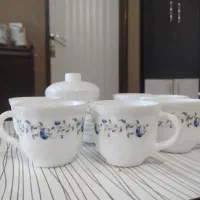 فنجان و نعلبکی