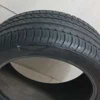 لاستیک فیدیلیتی
