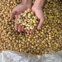 انجیر مرغوب ممتاز|خوردنی و آشامیدنی|شیراز, باهنر|دیوار